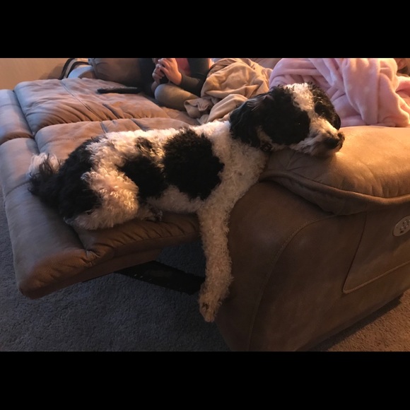 Meet your Posher, Laura - Picture 2 of 3